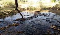 13-Ribeirao divisa
