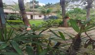 15- Jardim